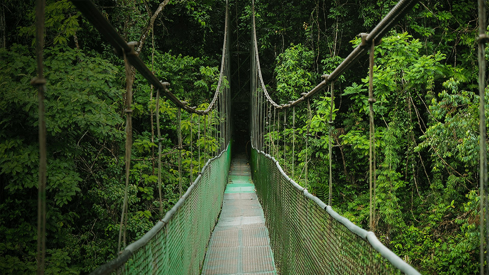 Hillside Adventure Park
